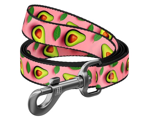Повідок для собак WAUDOG Nylon 
