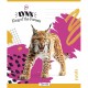 Зошит Школярик King of the Tropics 18 аркушів клітинка (018-3421K)