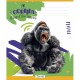 Зошит Школярик King of the Tropics 18 аркушів клітинка (018-3421K)