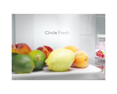 Холодильник Candy ECN2CQTEB186