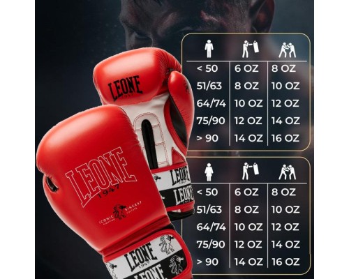 Боксерські рукавички Leone GN208 Iconic Red 16 унцій (GN208_Red_16oz)