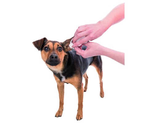 Вологі серветки для тварин Trixie для догляду за вухами 30 шт (4011905294162)