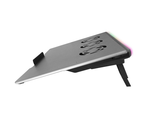 Підставка до ноутбука Esperanza EGC108 with RGB Boreas (EGC108)