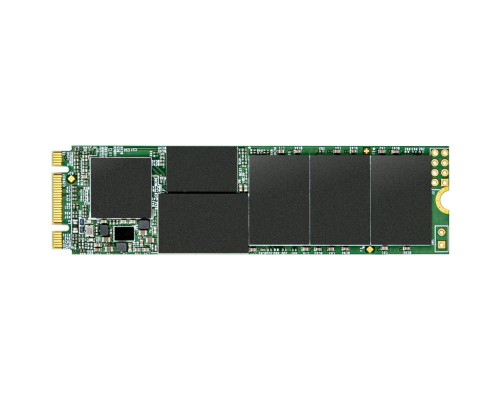 Накопичувач SSD M.2 2280 256GB Transcend (TS256GMTS832S)