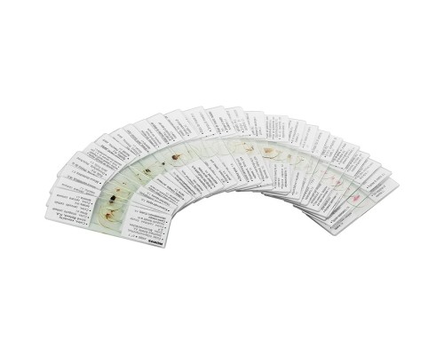 Набір мікропрепаратів Konus Загальна Біологія Зоологія, безхребетні і комахи 25 шт (4977)