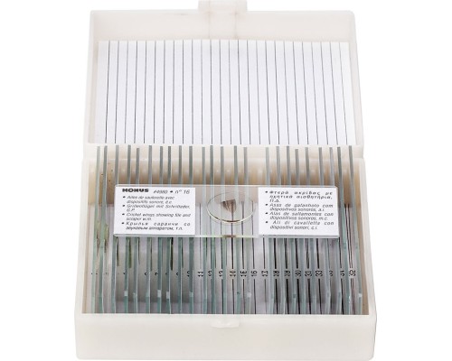 Набір мікропрепаратів Konus Загальна Біологія Зоологія, безхребетні і комахи 25 шт (4977)