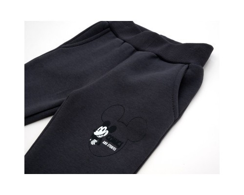 Спортивний костюм дитячий Smile флисовий (23163-98B-gray)