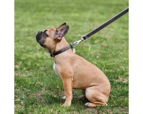 Нашийник для тварин WAUDOG Soft з QR паспортом, металеві прикраси S Ш 20 мм Д 30-39 см (7196)