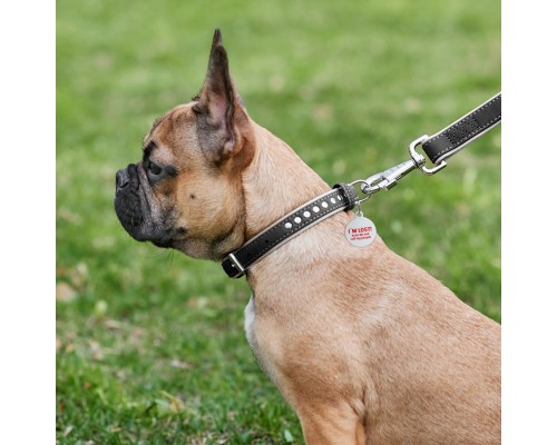 Нашийник для тварин WAUDOG Soft з QR паспортом, металеві прикраси S Ш 20 мм Д 30-39 см (7196)