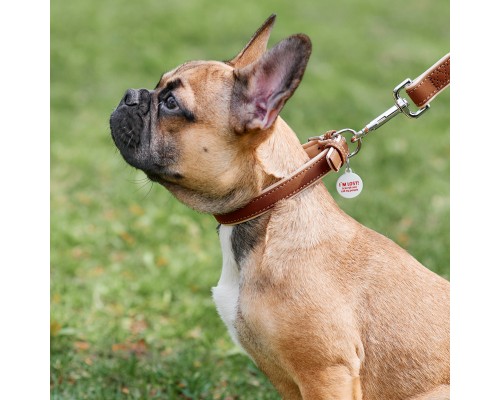 Нашийник для тварин WAUDOG Soft з QR паспортом XS коричневий (7189)