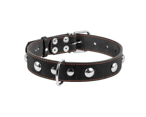 Нашийник для тварин Collar одинарний з прикрасами Ш 35 мм Д 48-63 см чорний (02711)