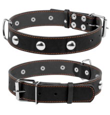 Нашийник для тварин Collar одинарний з прикрасами Ш 35 мм Д 48-63 см чорний (02711)