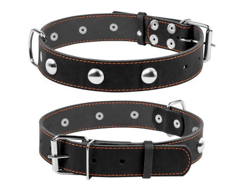 Нашийник для тварин Collar одинарний з прикрасами Ш 35 мм Д 48-63 см чорний (02711)
