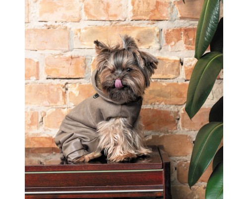 Костюм для тварин Pet Fashion PF Style XS2 бежевий (4823082427963)