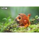 Пазл Eugy 3D Зоопарк Лев (XEG-070)