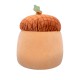 М'яка іграшка Squishmallows Жолудь Мак 19 см (SQHV00028)