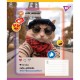 Зошит Yes Cute animals А5 18 аркушів лінія (767728)