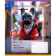 Зошит Yes Cute animals А5 18 аркушів лінія (767728)
