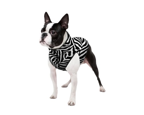 Курточка для тварин WAUDOG Clothes 