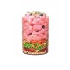 Сухий корм для собак Carnilove True Fresh TURKEY for Adult dogs 4 кг (8595602545964)