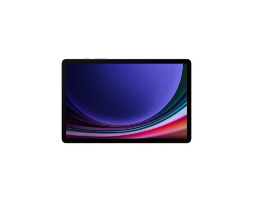 Планшет Samsung Galaxy Tab S9 5G 12GB/256GB Graphite (SM-X716BZAESEK)