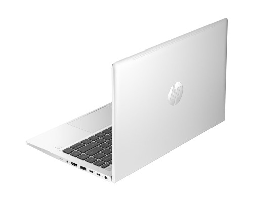 Ноутбук HP Probook 440 G10 (817J4EA)