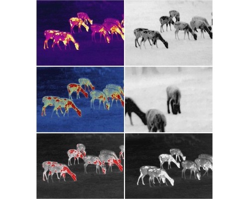 Монокуляр Guide Тепловізійний TrackIR Pro 35mm, 640x480, 12m, VOx, 2x-16x (TrackIRPro35mm)