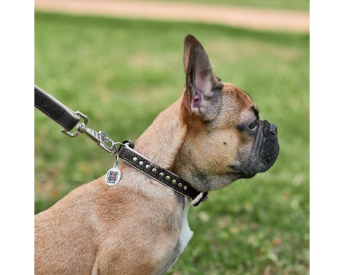 Нашийник для тварин WAUDOG Soft з QR паспортом, металеві прикраси M Ш 25 мм Д 38-49 см (7206)