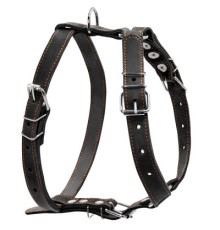 Шлея для собак Collar одинарна для середніх порід Ш 25 мм А:49-68 см В:68-80 см чорна (06381)