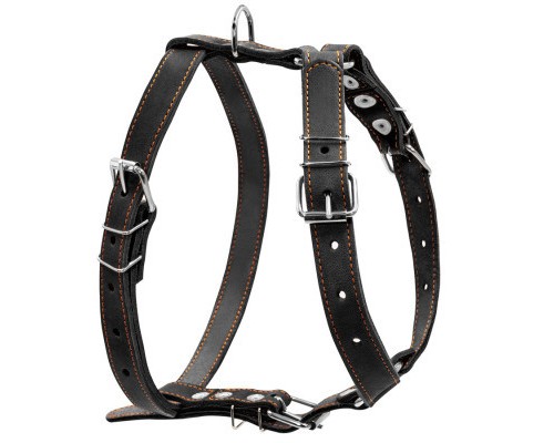 Шлея для собак Collar одинарна для середніх порід Ш 25 мм А:49-68 см В:68-80 см чорна (06381)