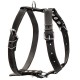 Шлея для собак Collar одинарна для середніх порід Ш 25 мм А:49-68 см В:68-80 см чорна (06381)