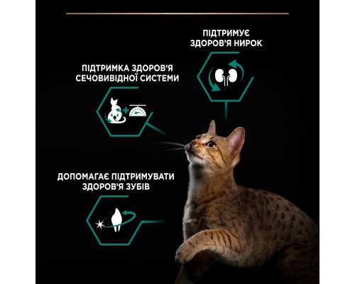 Сухий корм для кішок Purina Pro Plan Sterilised Adult 1+ Renal Plus Для дорослих стерилізованих З лососем 14 кг (7613287887597) Сухий корм для кішок Purina Pro Plan Sterilised Adult 1+ Renal Plus Для дорослих стерилізованих З лососем 14 кг (7613287887597)