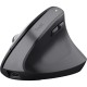 Мишка Trust Bayo + Ergonomic Wireless/Bluetooth Black (25146)
