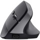 Мишка Trust Bayo + Ergonomic Wireless/Bluetooth Black (25146)