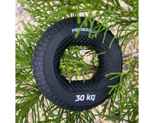 Еспандер PowerPlay PP-4333 Hand Grip Hard 30 кг Чорний (PP_4333_Black_30kg)