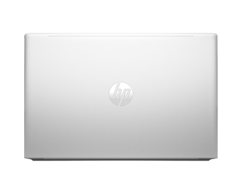 Ноутбук HP ProBook 455 G10 (719F9AV_ITM1)
