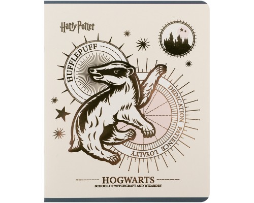 Зошит Kite Harry Potter, 48 аркушів, клітинка (HP25-259)