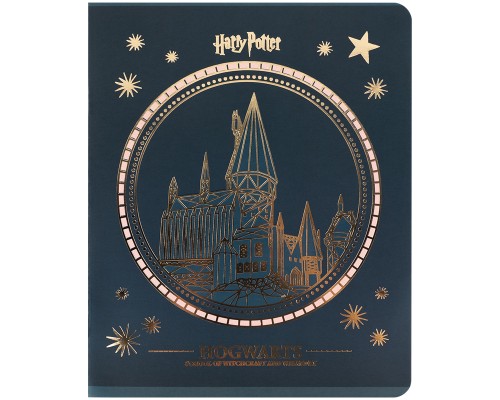 Зошит Kite Harry Potter, 48 аркушів, клітинка (HP25-259)