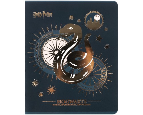 Зошит Kite Harry Potter, 48 аркушів, клітинка (HP25-259)