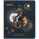 Зошит Kite Harry Potter, 48 аркушів, клітинка (HP25-259)