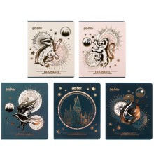 Зошит Kite Harry Potter, 48 аркушів, клітинка (HP25-259)