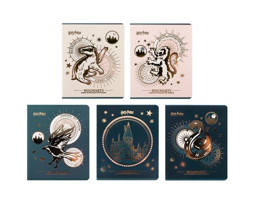 Зошит Kite Harry Potter, 48 аркушів, клітинка (HP25-259)