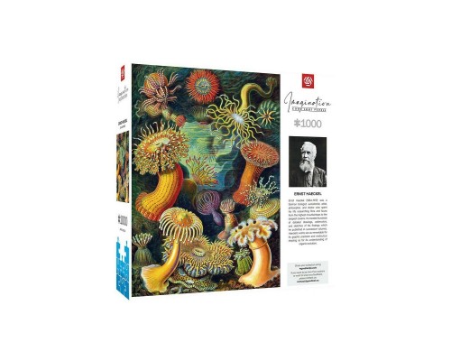 Пазл GoodLoot Imagination: Ernst Haeckel: Sea Anemones 1000 ел. (5908305244943)