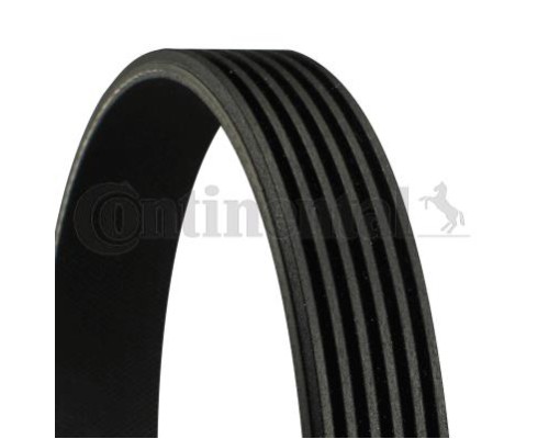 Поліклиновий ремінь CONTITECH 6PK1115