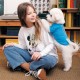 Футболка для тварин Pet Fashion Ivanko S2 (4823082430444)