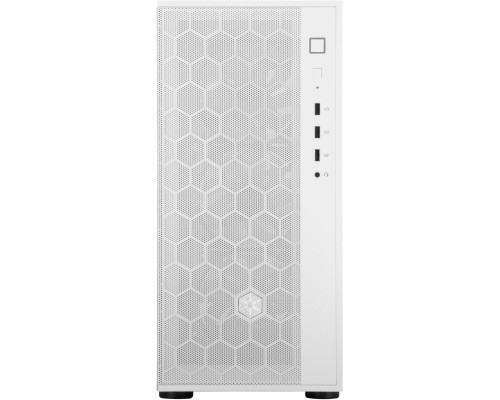 Корпус Silver Stone FARA (SST-FAR1W-G-V2)