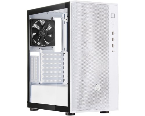 Корпус Silver Stone FARA (SST-FAR1W-G-V2)