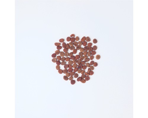 Сухий корм для кішок Carnilove True Fresh Cat Chicken 4.8 кг (8595602561490)