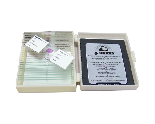 Набір мікропрепаратів Konus Здорові тканини людського тіла, частина I 10 шт (4910)