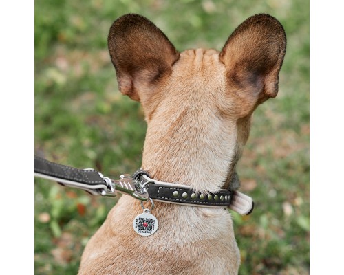 Нашийник для тварин WAUDOG Soft з QR паспортом, металеві прикраси L Ш 35 мм Д 57-71 см (7225)